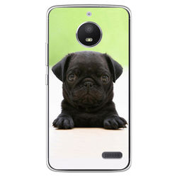 Capa para Celular - Black Pug